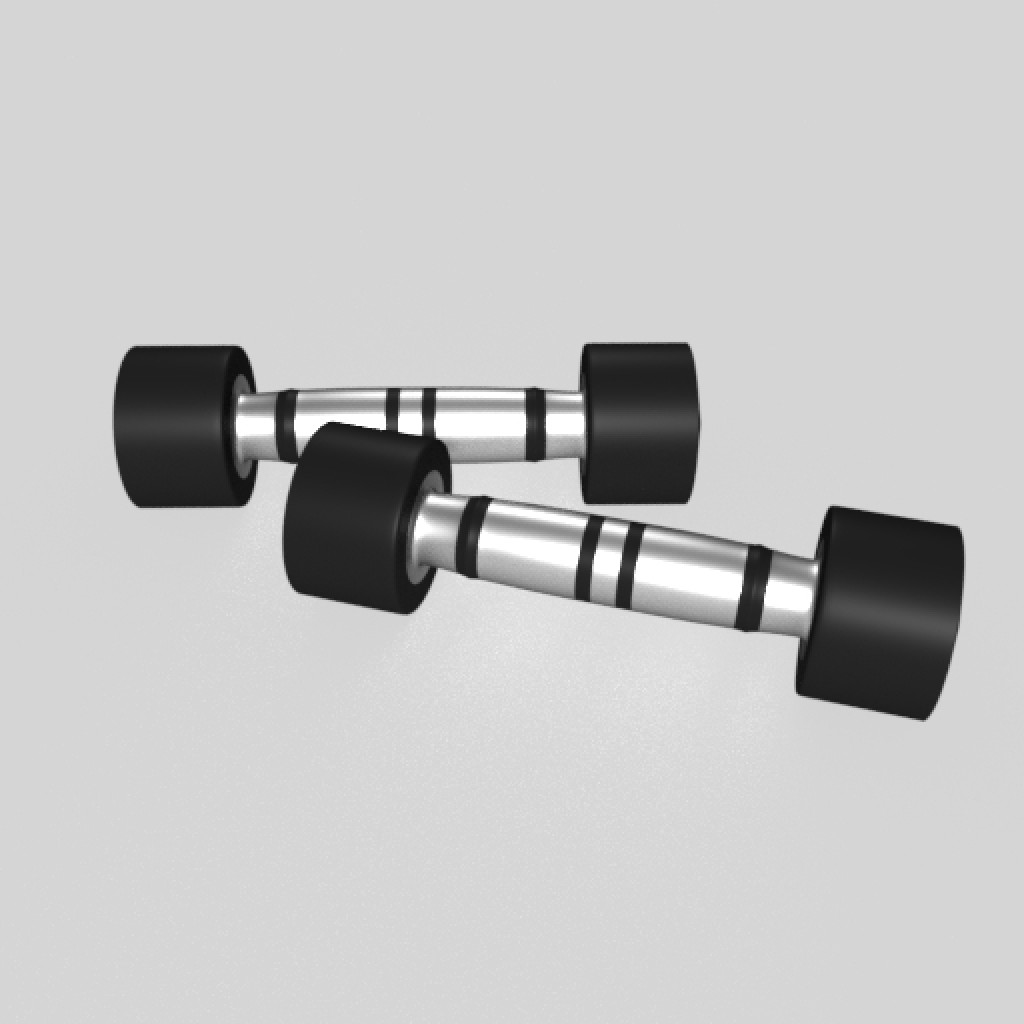 Dumbbells exercise accessories | exercise equipment preview image 1